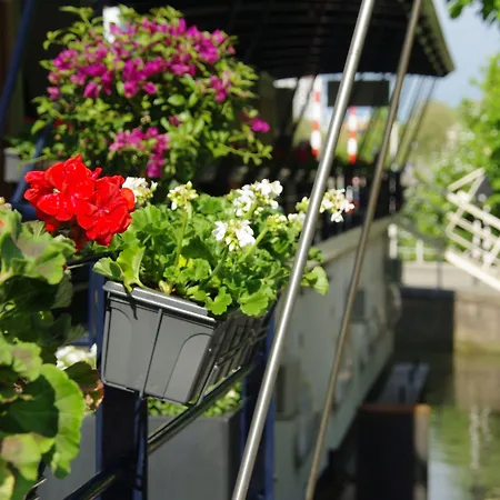 Floats By H2otel 3*